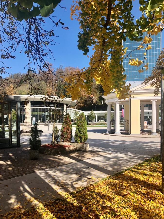 Apartment Vilapark 14 Rogaška Slatina Eksteriør bilde